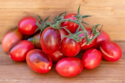 ������ �����: ����� � ��������-������� ������� � ���������������� �������������