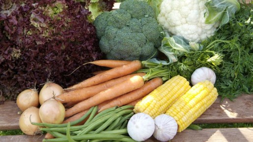 �������� ������������: ���� ���� ������������ �������� ���� � �������� ���������