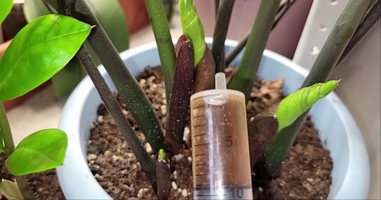 ��������� ��������� �������������: ��� ������� �������������� �� ��� ������