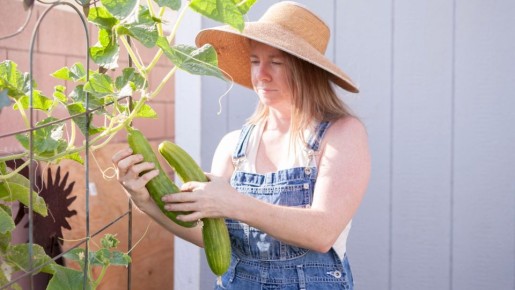 ������ ������ �� ������� �������: ������� ��� ������������� ���������