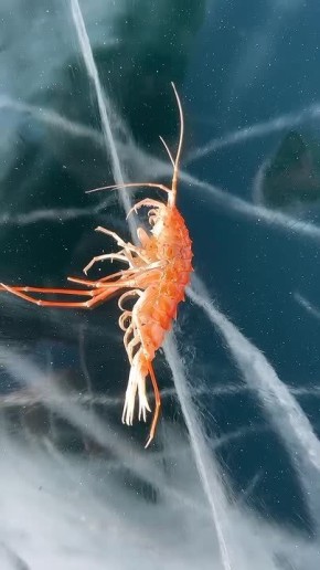 �� ���� ������� ����� ����� ��������� �� ������