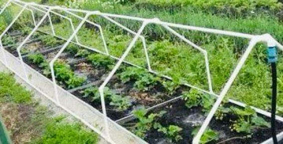 ������-�����: ����� ������ �� ��������� ����������