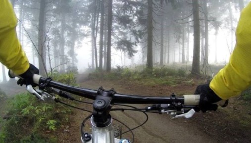 7 �������, �������� ����� �������� �� �����