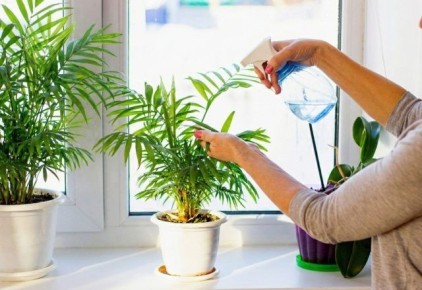 ��� ��������� �� ����������: 6 �������� ��� ��������� �������