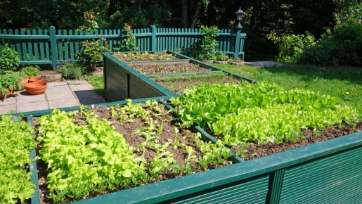 ����� ������� ������ � ���� ����� ������� ������: ���������� �������� ��������� �������