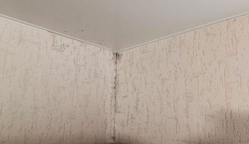 ������� � ��������: ��� �������� ����� � �� ��������� ��� �����������