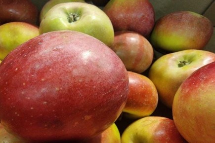 ������ ������ ����� ��� ��������: ��� �������� ���������������� ������ � ������� ��������� �������