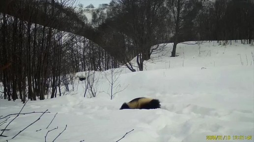 ������ ����� �� �������. �������� � �����