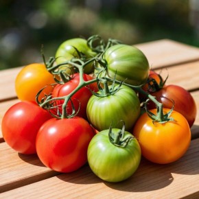 Три ключевых шага к урожаю: как ухаживать за цветущими томатами