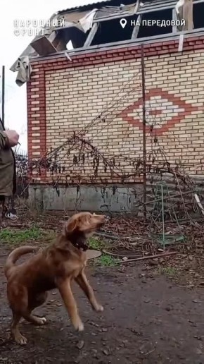 ������ ��������� ���� �������� �������� �� ��������� ���