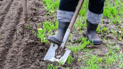 ��� ������� ����� ������ � �������� ��������� ��� ������� ��������� ����