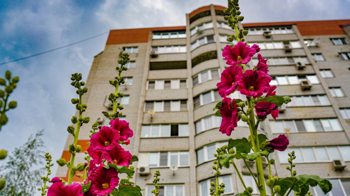 Активированный уголь: неожиданные бытовые применения для чистоты и свежести