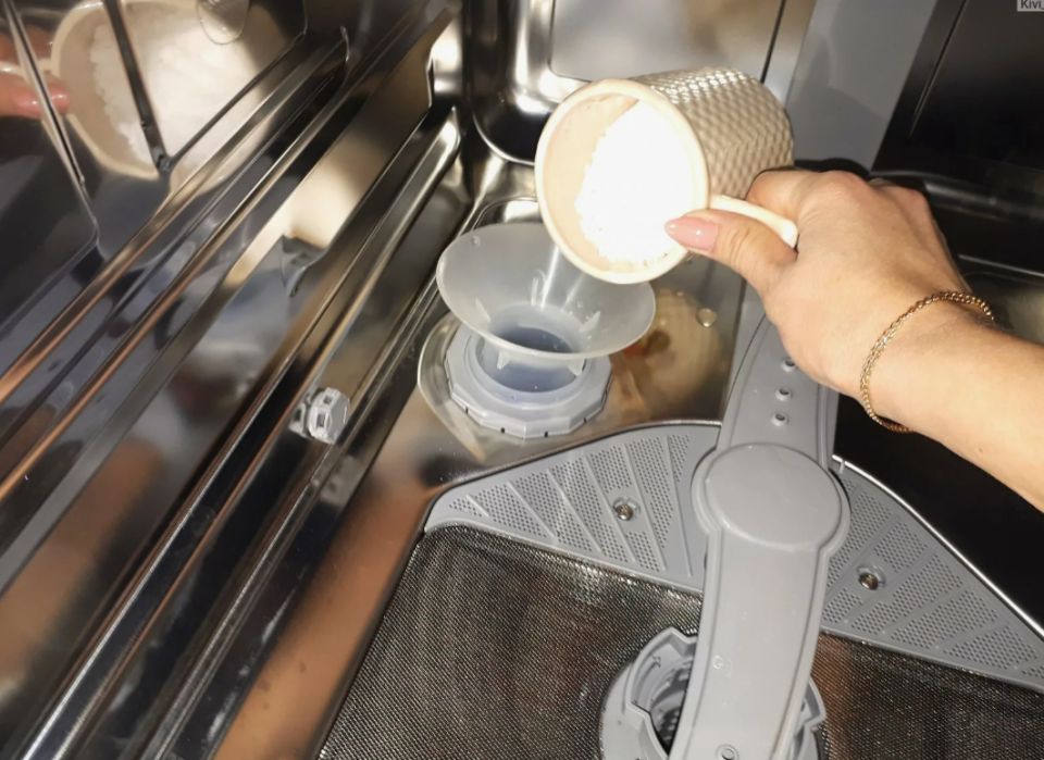 Соль для посудомоечной машины: жизненно важный элемент или лишний расход?