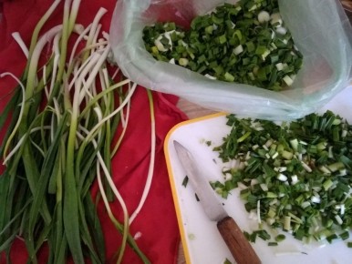 ������ �� ������: ��� ���������� ����������� ������ � ������� �����