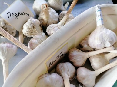 ������ ������: ������� ������� � ����� �� �������