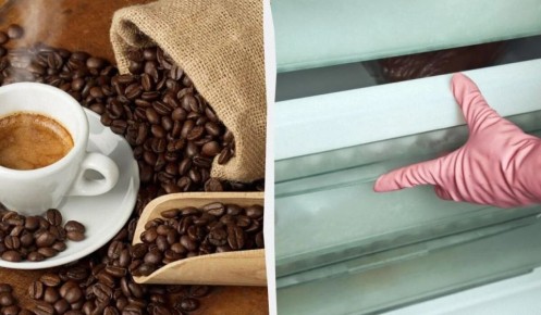 ��� ��������� ������ ���� �� ������: ������� ������� ��������