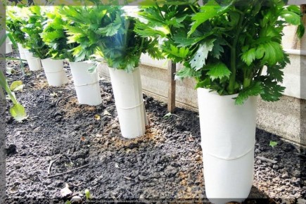 ������� ��������� ��������������: ��� �� ����� ������ �� ���� � 2026 ����