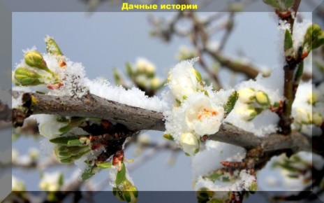 ��� ������������ �������� ����� �������: �������� ������ ��� ���������