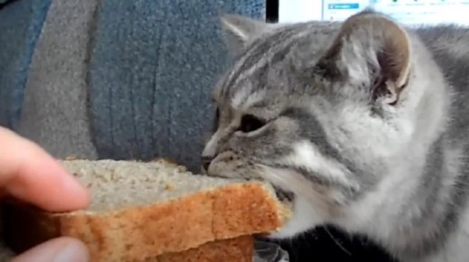 ����� �� ����� ���� ����? ������� ������ ���������