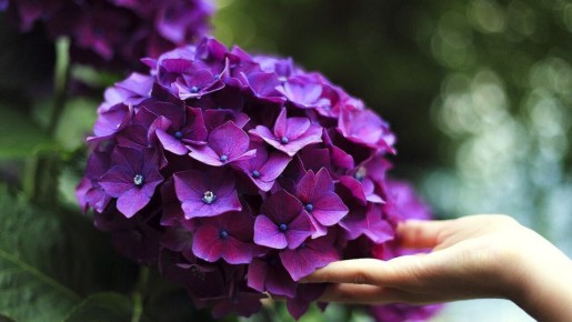 ��������� ������: ��� �������� �������� �� ����������