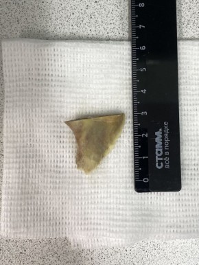 � ����-��� ����� ������ ��������, � �������� � �������� �������� �����