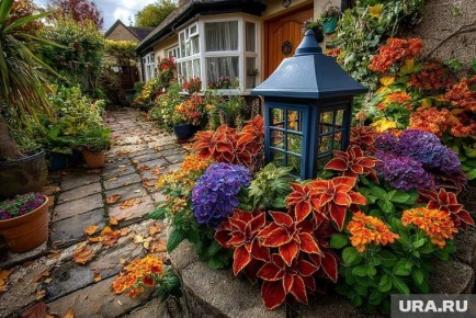 ��� ��������� ����������� �������� � ����: ������ �� �������� ��������