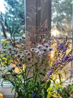 ������ ���� ��������: ������� ���� ��� �������