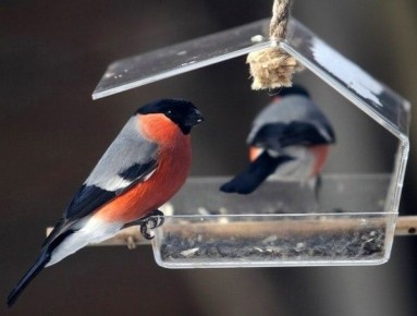 �� ����� ����� ���������� � ����� ������������� � �������� ������ ��������