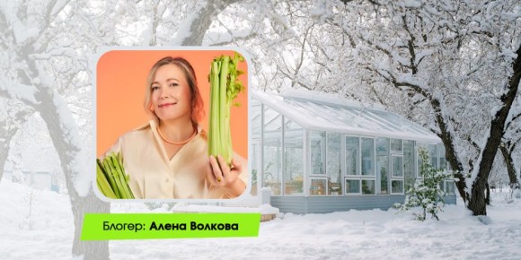 ��� ����������� ������� � ����: ������ ������ ��� ��������� ������