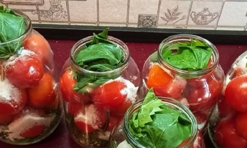 ��� ������� �������� �������� � �������� � ������: ������ � �����