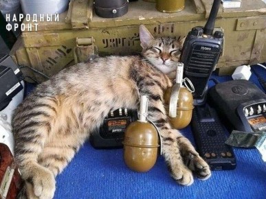 ������ - ������� �� �������