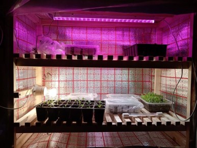 ����-������� ��� �������: ��� ������� ��������� ������� ��� ����� ��������