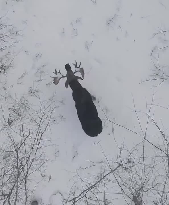 ������ ����� �� �������. ���������� ������������� � ����� ������� �������, ��� ���� ���������� ���� ����