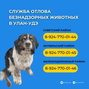 ��������� ��������, �� ������ ����� ����������� �� ��������� � ��������