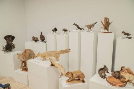 ��� ����� ������� ��������������� �� ���������� �������