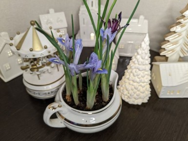 ����� ��������: ���������� ���� ����� �� ��������� �������