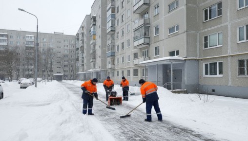 �������� ������������ ���������� ��������� �������������� ����������� �� ������