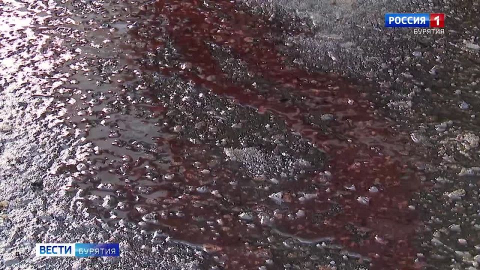 �������� �� �������� ������� ���� �������� ��������� �������� ����������