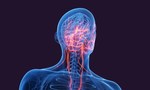 ��� ��������� ����� ���������� ������: ��� ������� ������