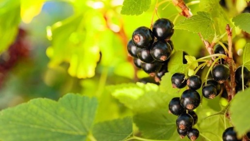 ������ ����� ��������� ������ ����� ���������? ���������� ������� �����������