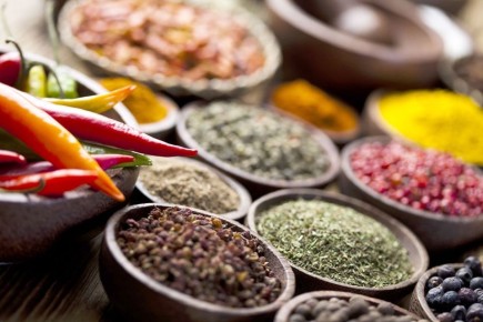 ������� ������������ ������: ��� ������� ��������� �����