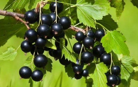 ������ ����� � �����, ����� ��������� ������� �������� � ������