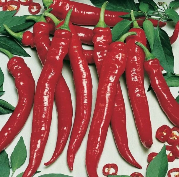 Перец Пламя дракона: универсальный острый сорт, который покорит ваш огород