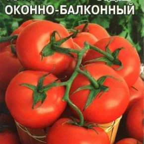 Томат Оконно-балконный: как вырастить урожай на подоконнике