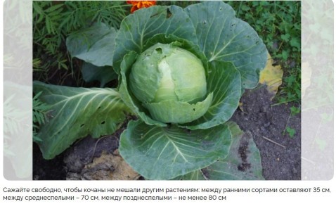 ��������� ���� �� ��������: ����� � ��� �������� ������ ������