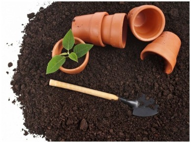 ��� ������� ������������ ����� ��� ������� � �� ��������� �� �����