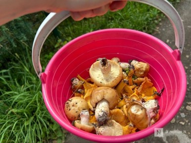 ������� �����: ����������� ������� ������ ���������� � �����