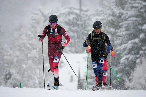 ������ ������ ������ �� ����������� ����� �������� � ���-����������