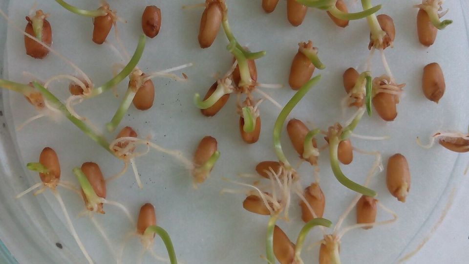 ������� ������������� �����: ��� ��������� �� ��������� ����