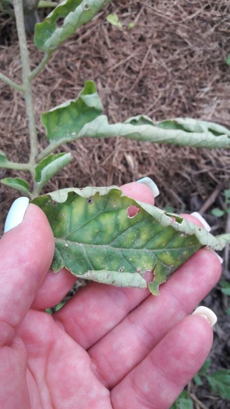 ��� ��������� �������� ������ ������ ������� ��� �� ��������